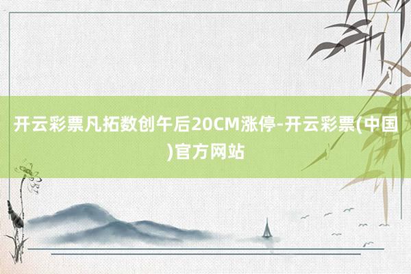 开云彩票凡拓数创午后20CM涨停-开云彩票(中国)官方网站