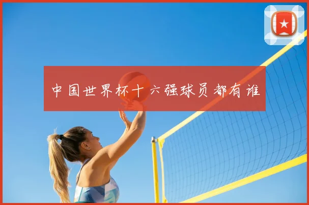 中国世界杯十六强球员都有谁
