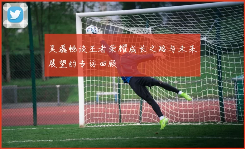 吴磊畅谈王者荣耀成长之路与未来展望的专访回顾