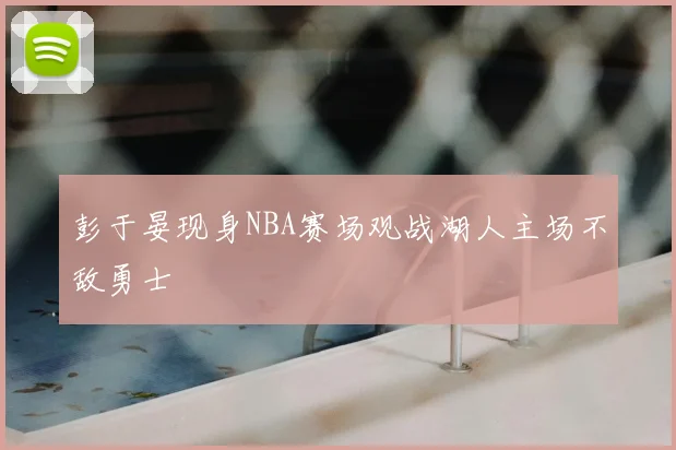 彭于晏现身NBA赛场观战湖人主场不敌勇士