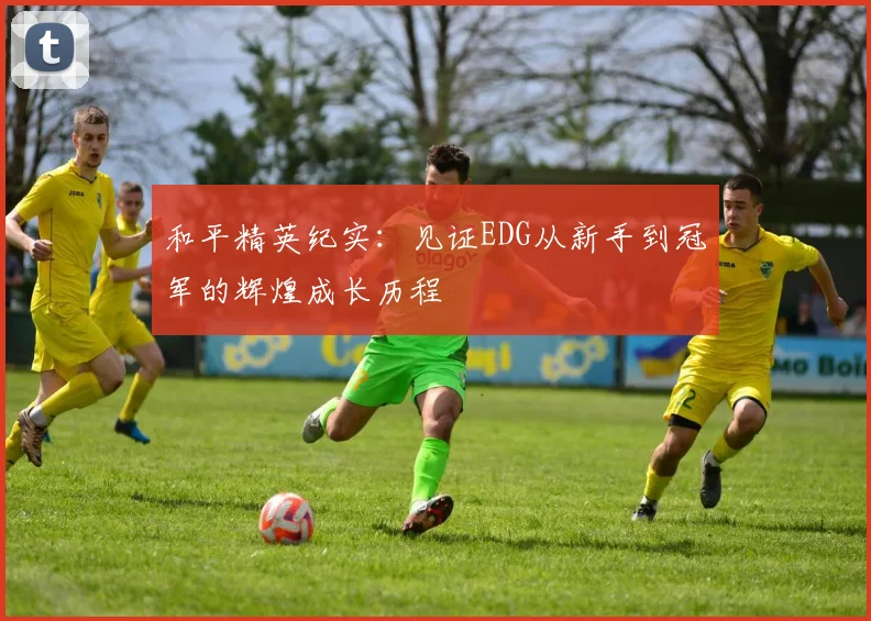 和平精英纪实：见证EDG从新手到冠军的辉煌成长历程
