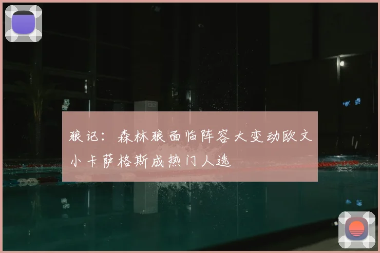 狼记:森林狼面临阵容大变动欧文小卡萨格斯成热门人选