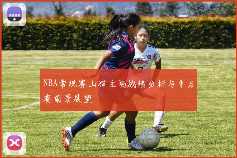 NBA常规赛山猫主场战绩分析与季后赛前景展望