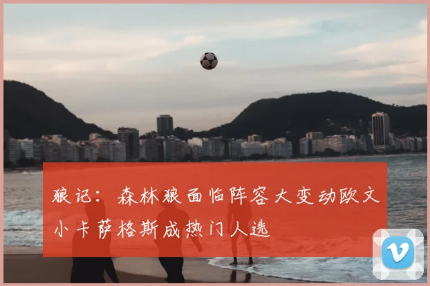 狼记:森林狼面临阵容大变动欧文小卡萨格斯成热门人选