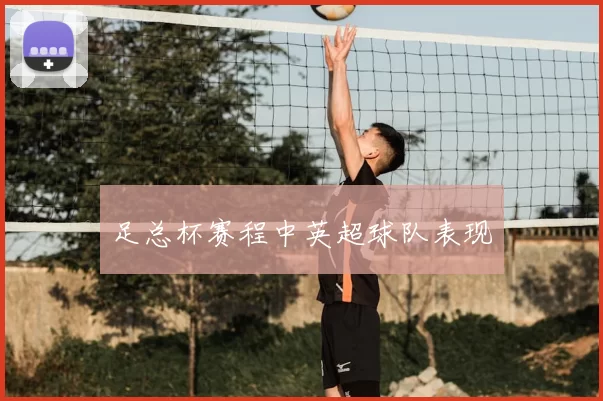 足总杯赛程中英超球队表现