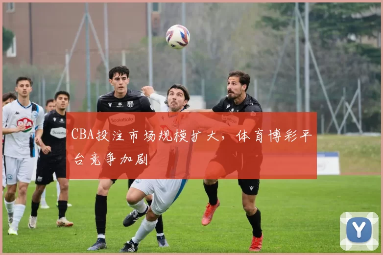 CBA投注市场规模扩大，体育博彩平台竞争加剧