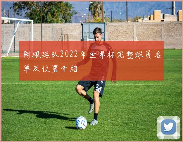阿根廷队2022年世界杯完整球员名单及位置介绍