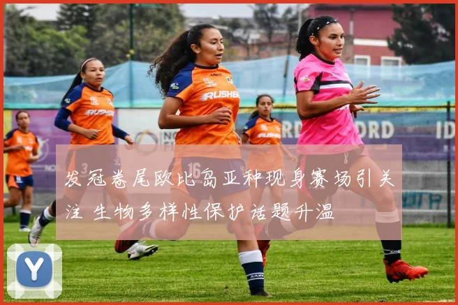 发冠卷尾欧比岛亚种现身赛场引关注 生物多样性保护话题升温